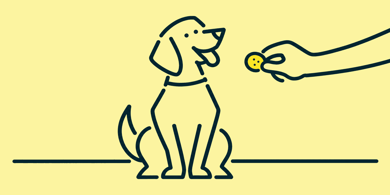 A dog sits facing the viewer with its head tilted, smiling, while a hand reaches in from the side offering a small biscuit after its microchip appointment.