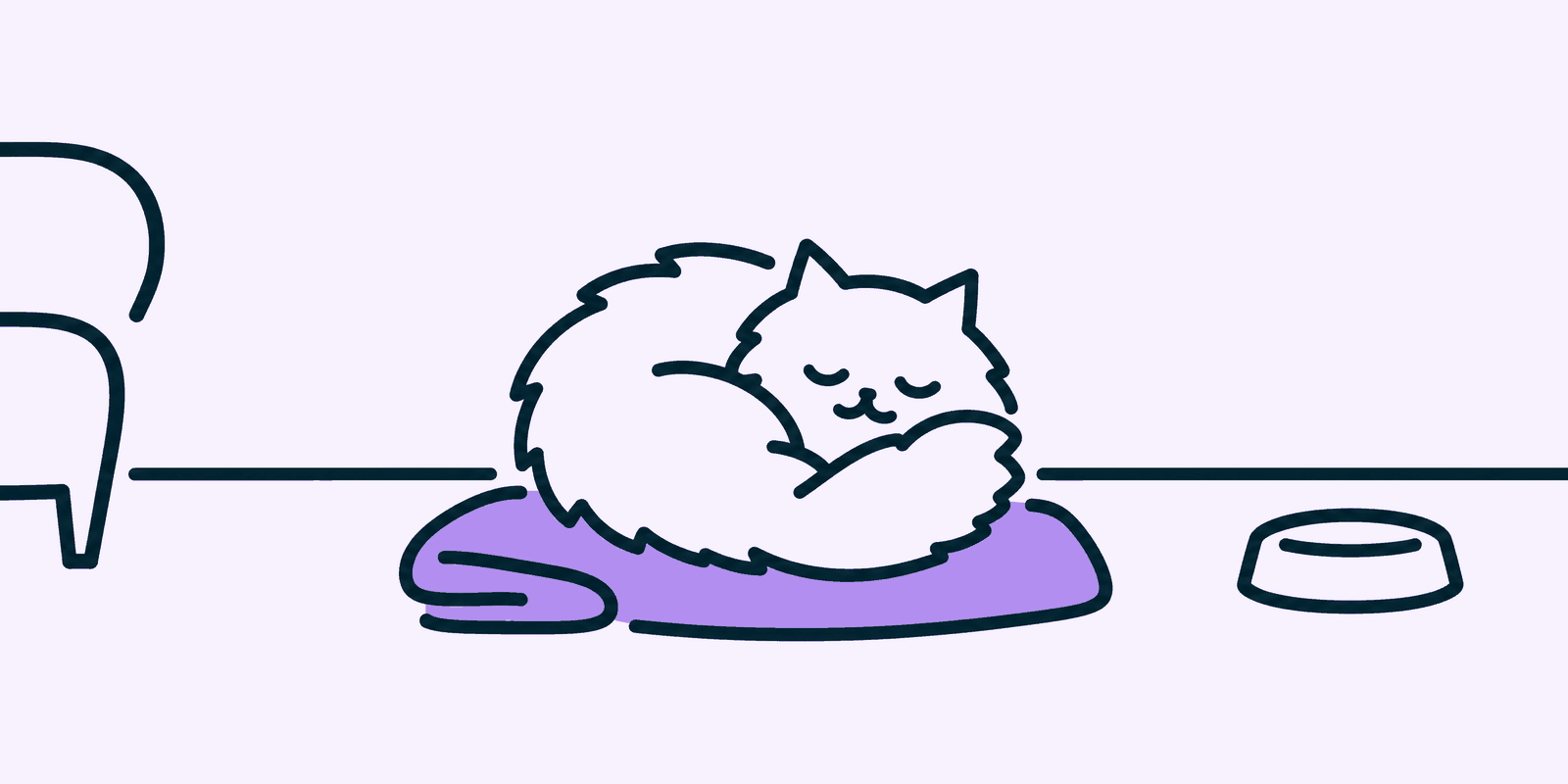 A long-haired cat curled asleep on a folded blanket in a quiet living room corner, a small food bowl beside it, settled in its new home.