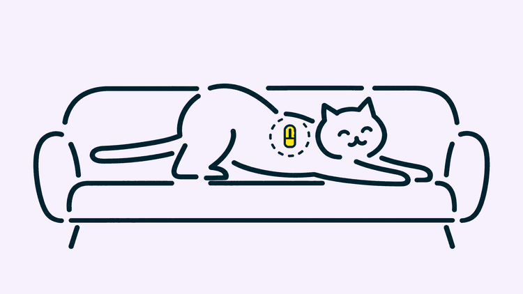 A cat stretches out along a sofa cushion, a small chip marked between its shoulders.