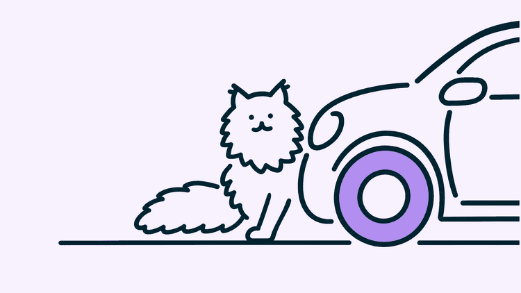 A cat peers out from behind the front wheel of a parked car.