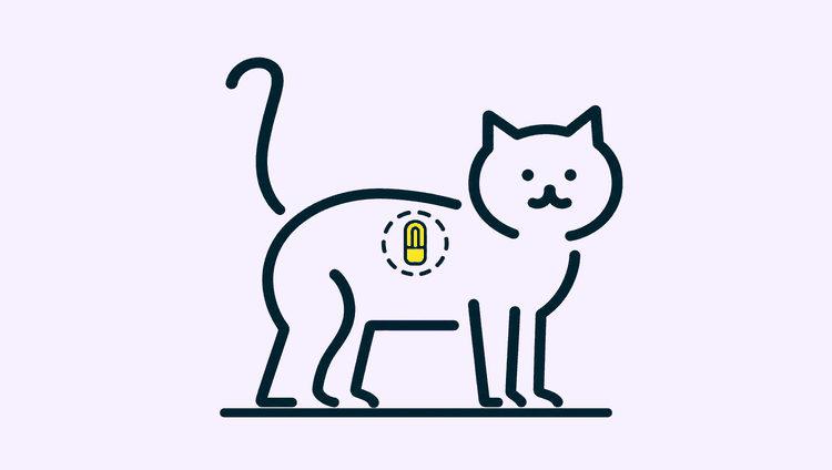 A cat stands side-on with its head turned to the viewer, a small chip shape in a dashed circle showing between its shoulder blades.