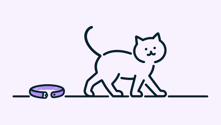 A kitten walks away from a snap-open collar lying open on the floor behind it.