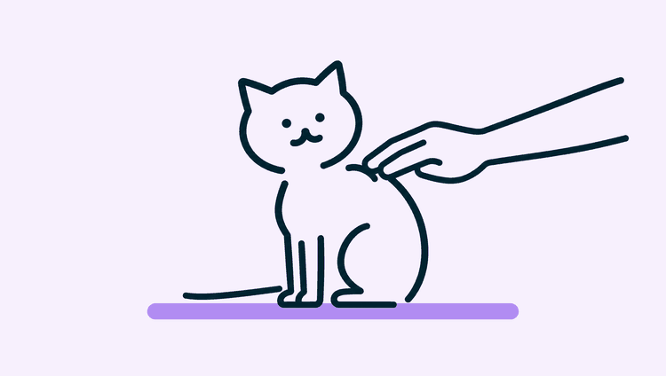 A small kitten sits upright on a low examination table while a hand gently touches the spot between its shoulders.