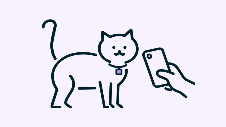 A cat stands with its tail up while a hand holds a phone toward the small square tag on its collar.