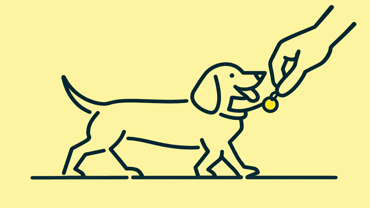 A dachshund trots along a pavement with a small round engraved tag on its collar while a hand reaches down to read it.