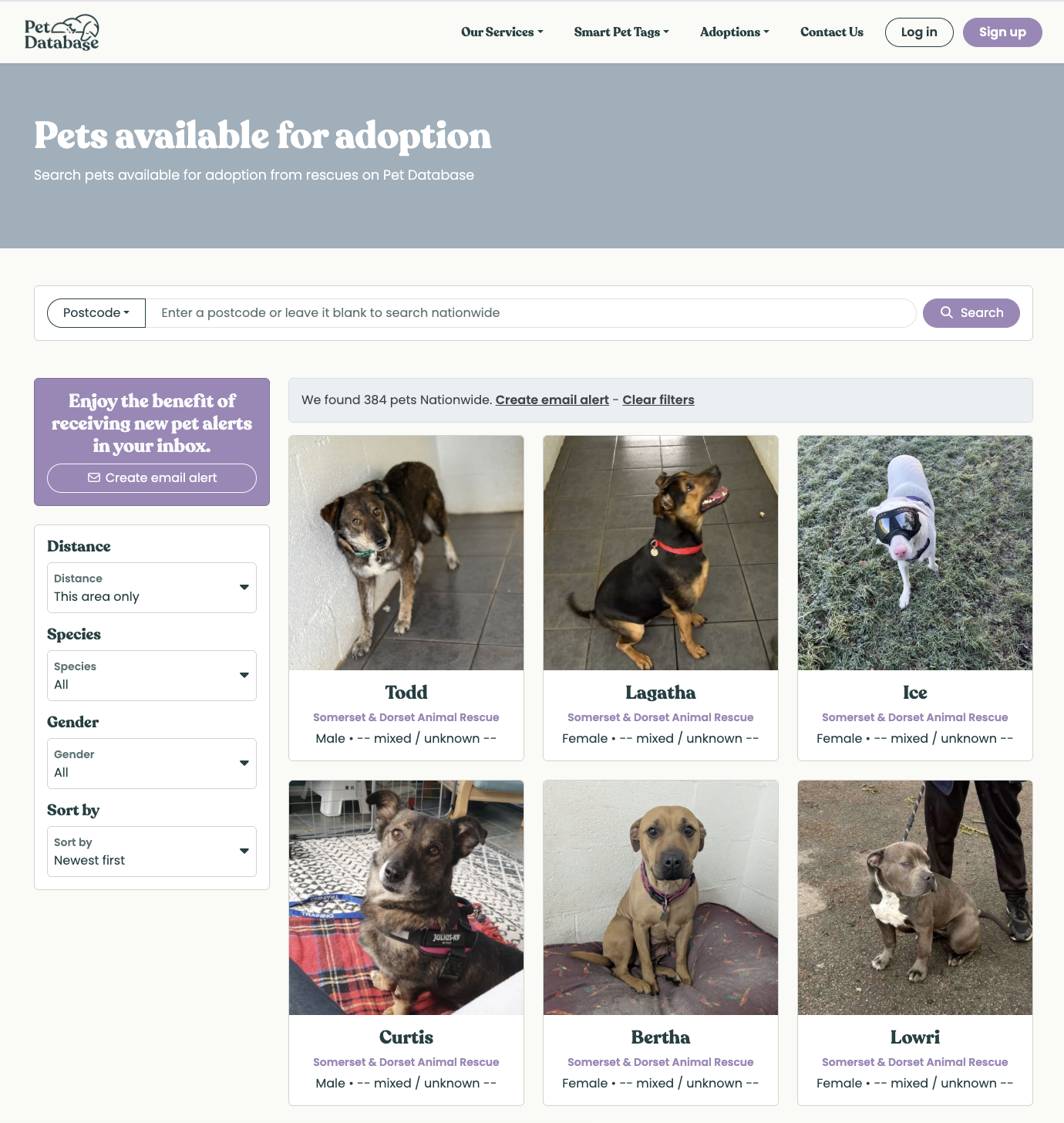 Pet Database adoption page showing available rescue pets and search filters