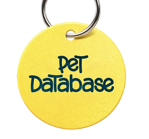 Yellow circular pet tag with the words 'Pet Database' attached to a metal key ring.