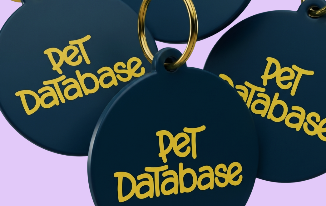 Close-up of dark blue pet tags with gold key rings and yellow text saying Pet Database.
