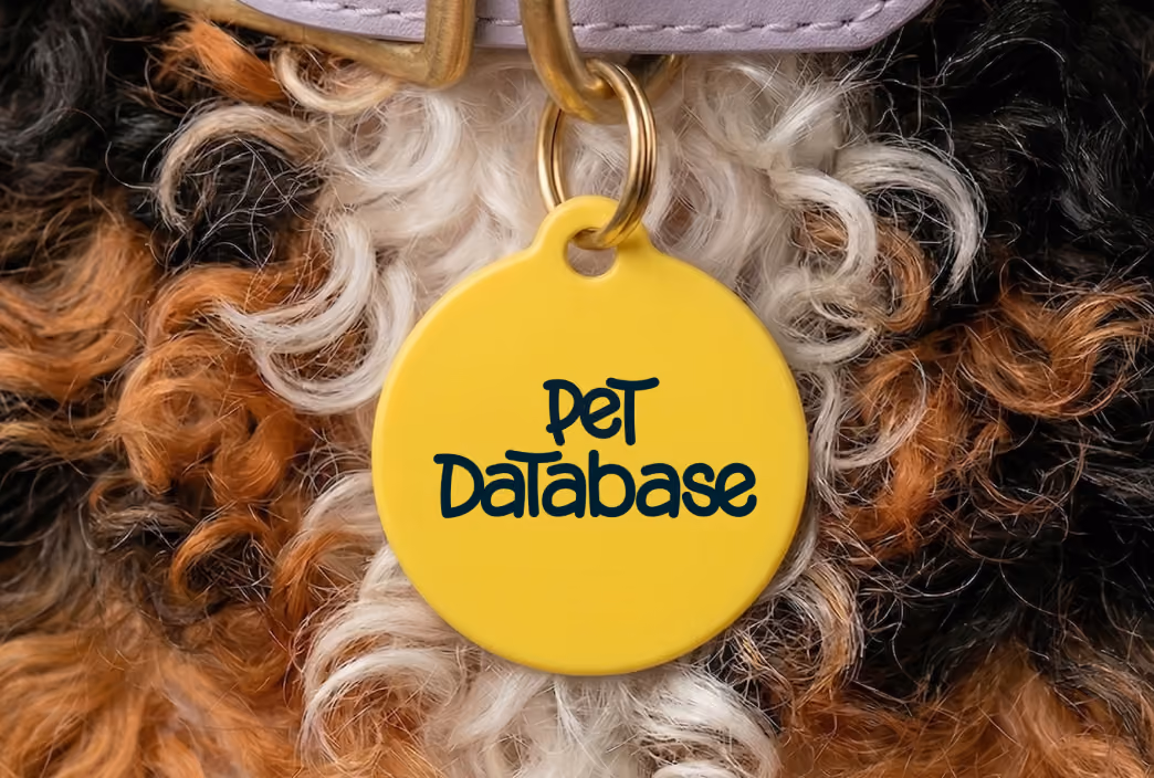 Yellow pet tag with the text 'Pet Database' hanging on a dog's curly tri-color fur.