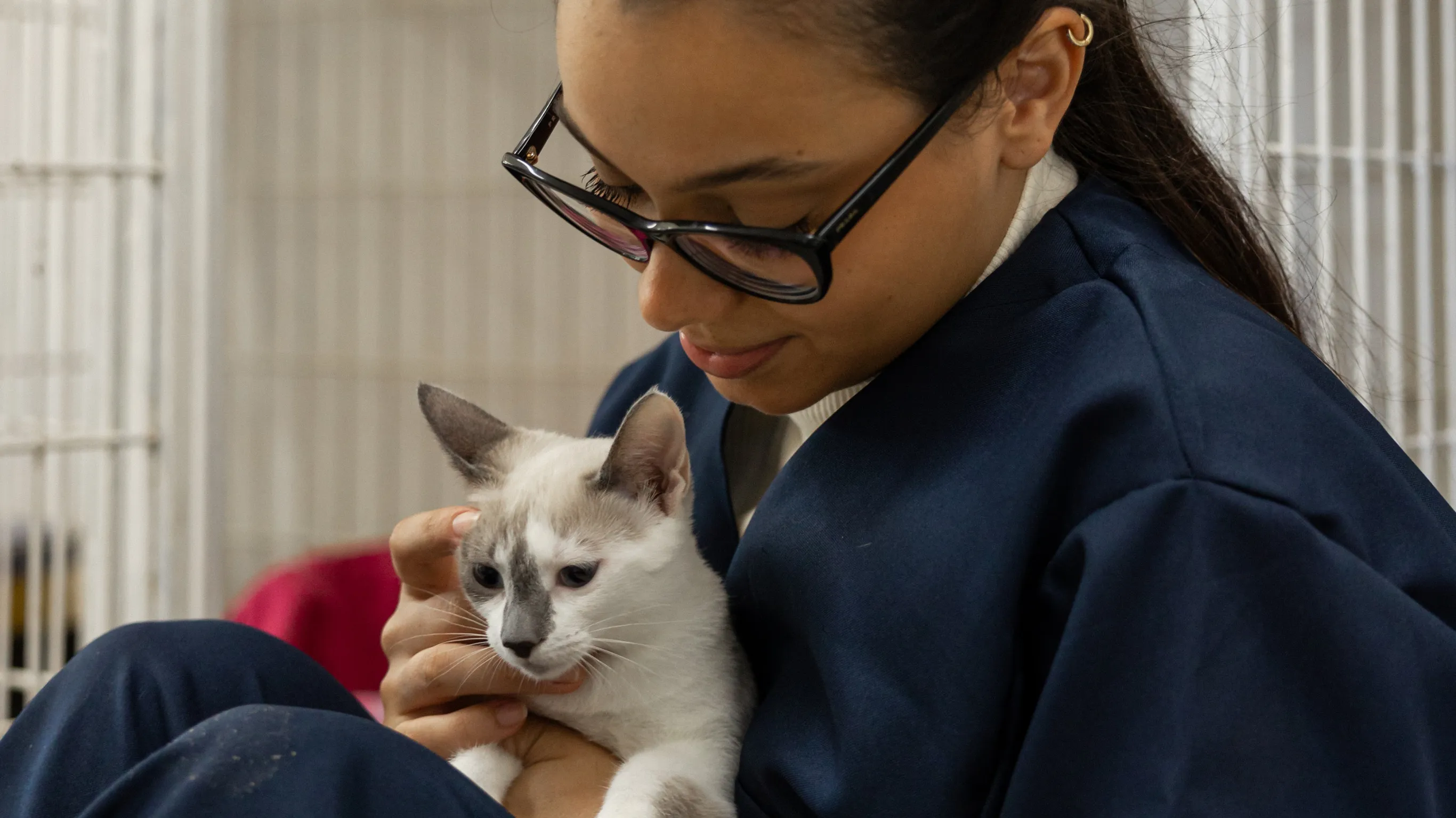 Person with glasses gently holding and looking at a white and gray cat.