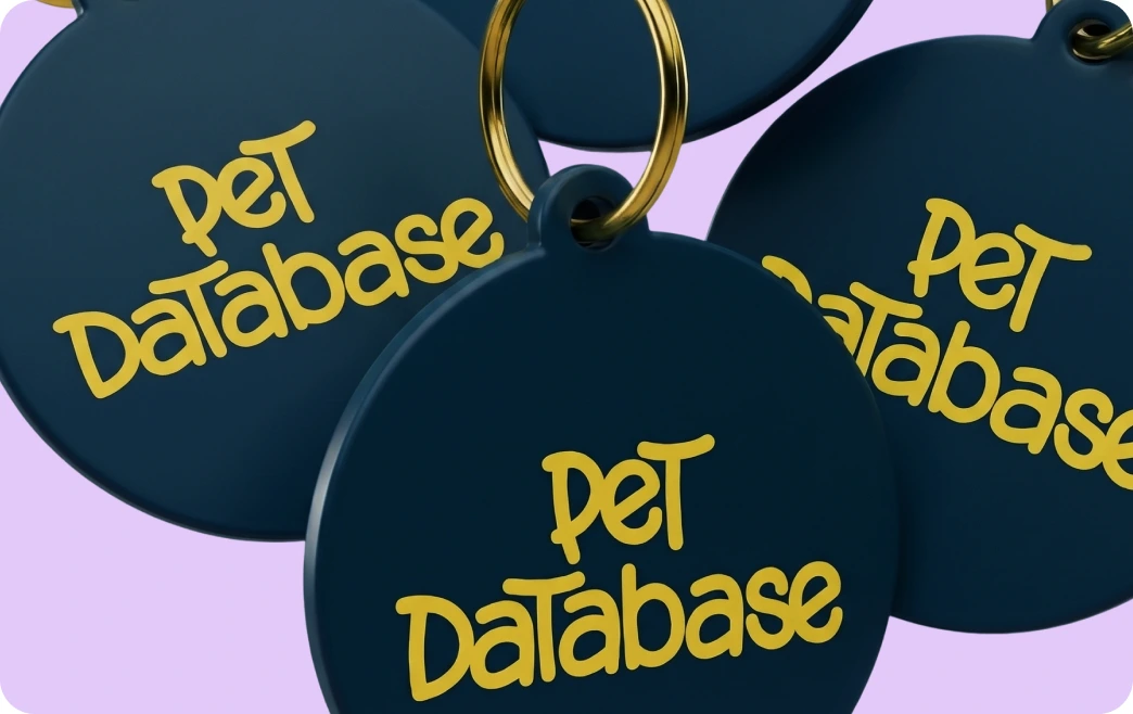 stack of colourful pet database smart pet tags