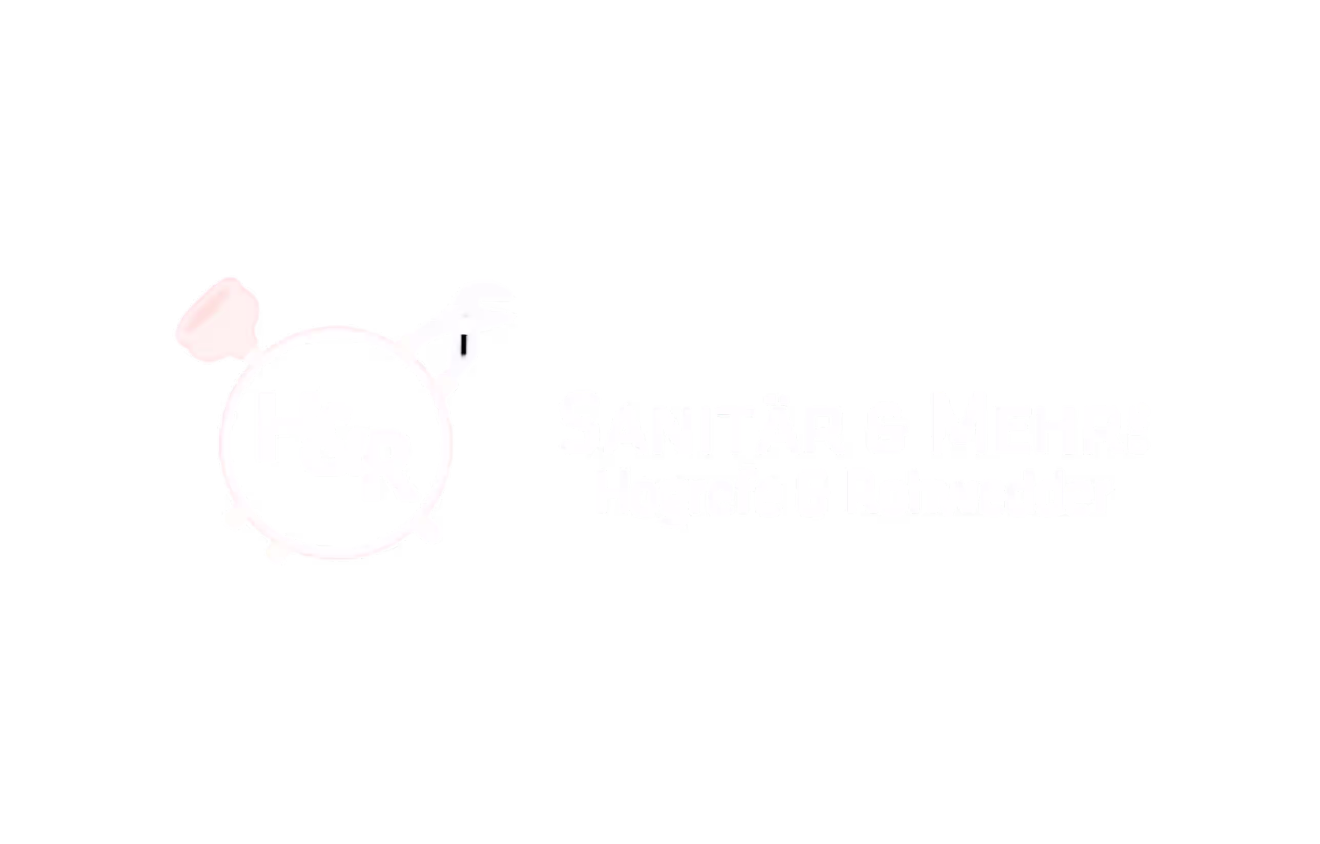 sanitär & mehr Logo