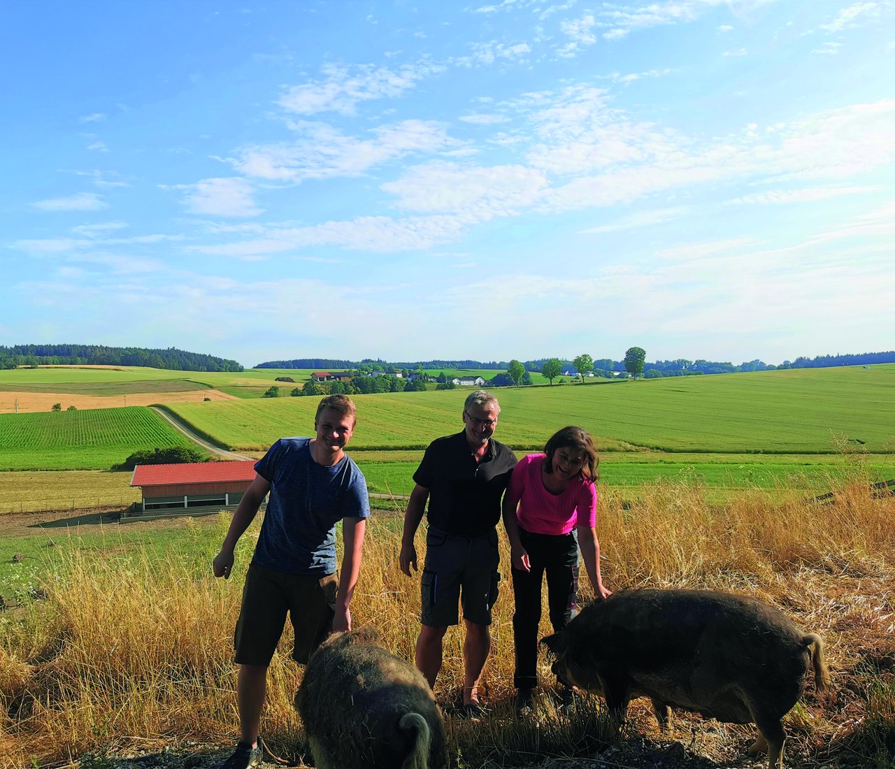 Familie Esterl mit ihren Wollschweinen auf der Weide