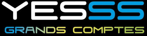 Logo YESSS