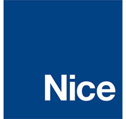 Logo NICE