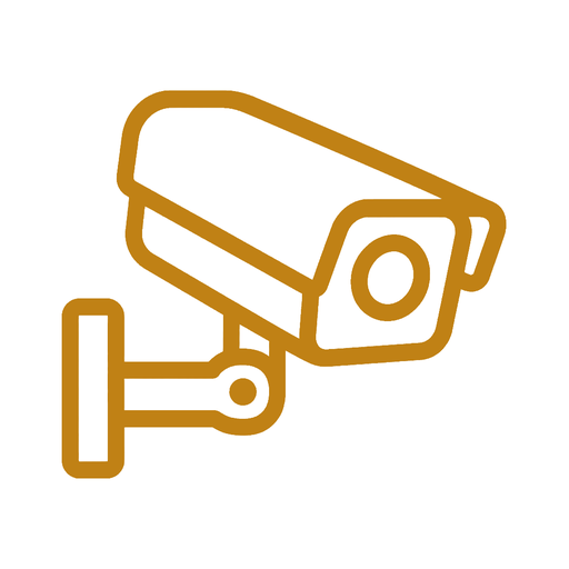 Caméra de surveillance