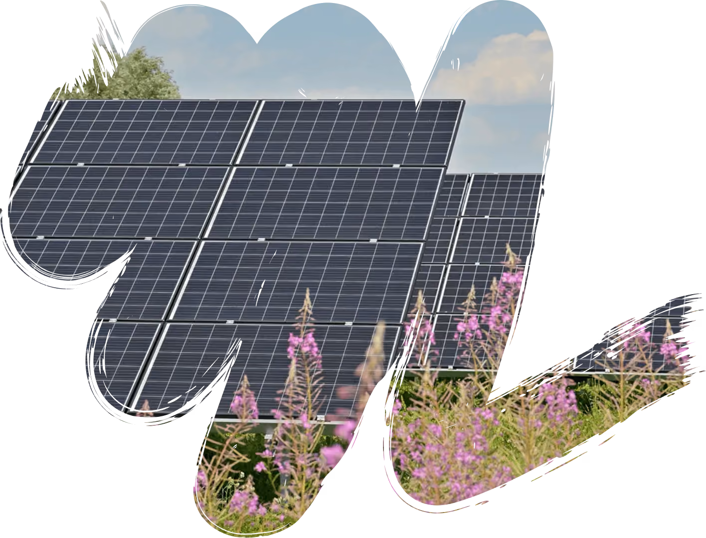 Panneaux solaires entourés de fleurs sauvages roses, dans un cadre aux bords arrondis
