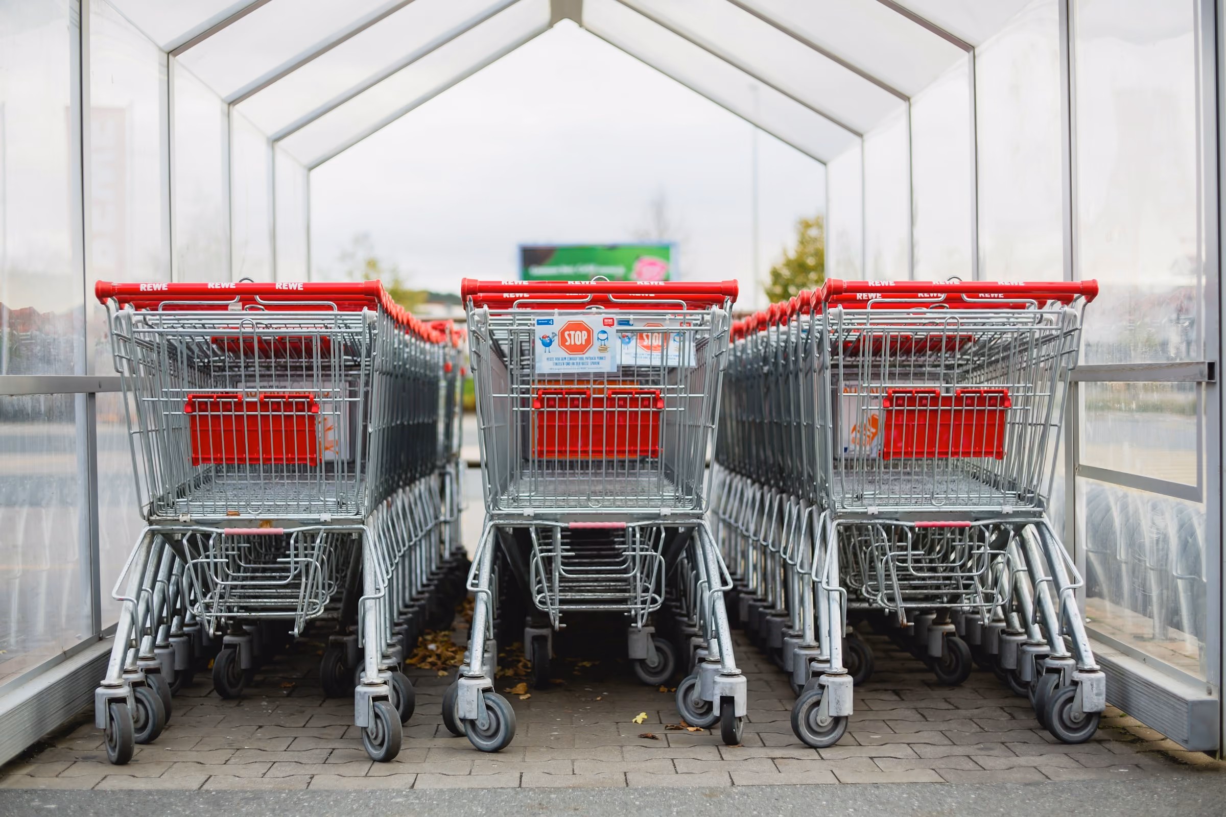 supermarket shopping trolleys