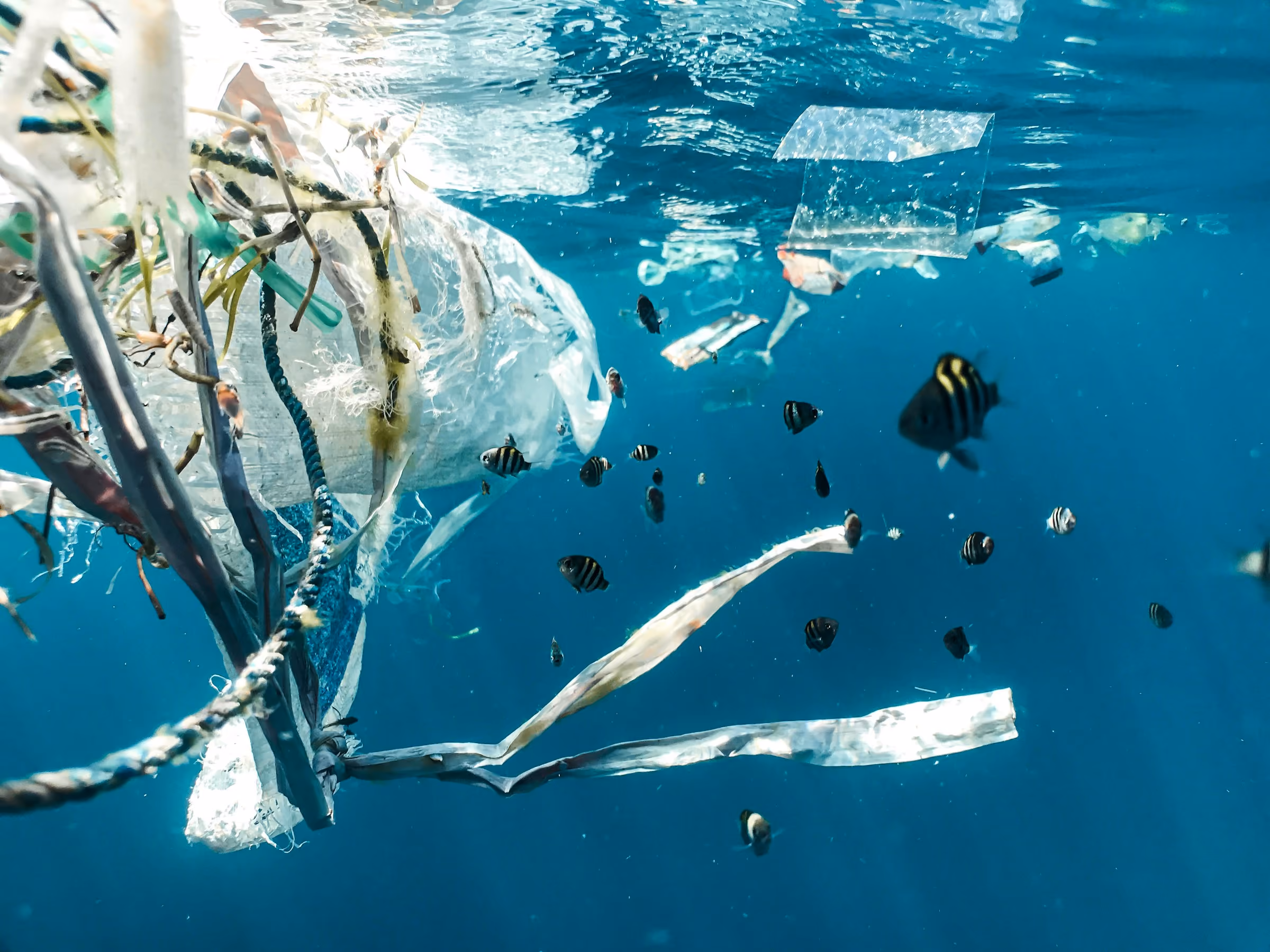Plastic floating in the sea
