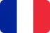 icône drapeau