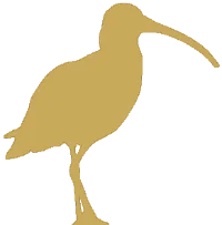 Curlew Icon