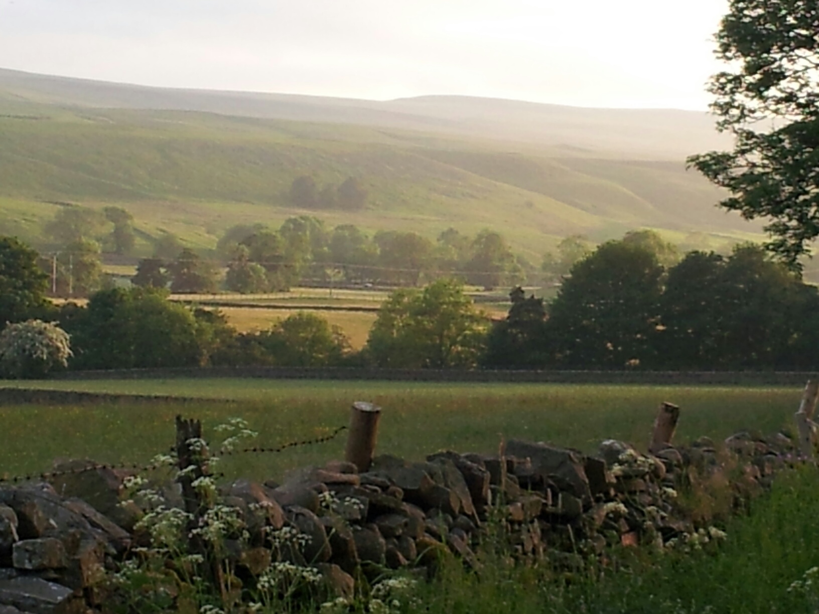 Teesdale Countryside