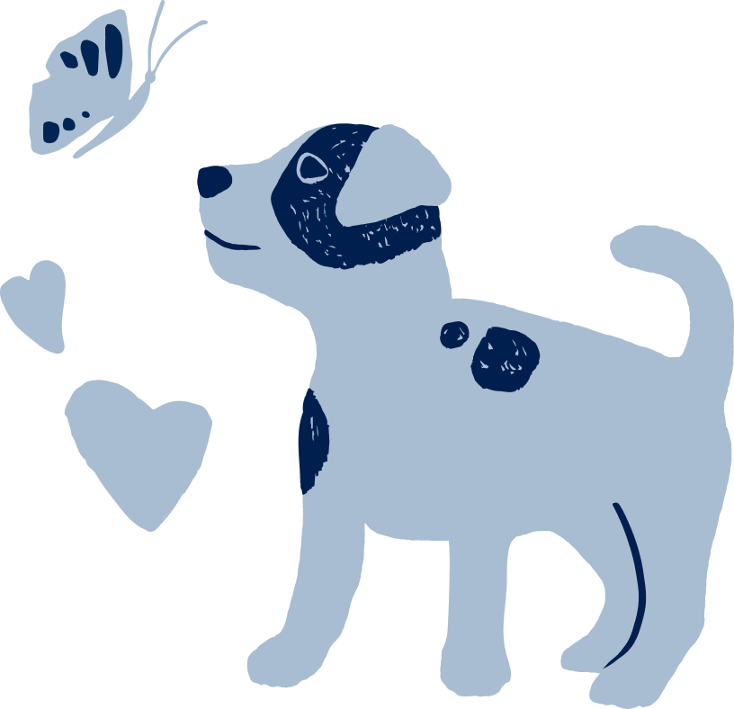 Dog with butterfly