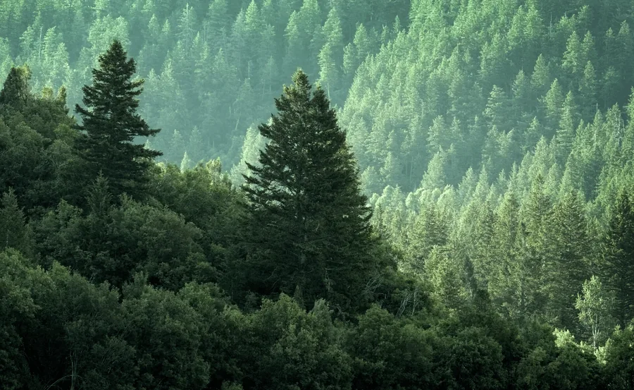 Refactoring Code to Keep it Evergreen
