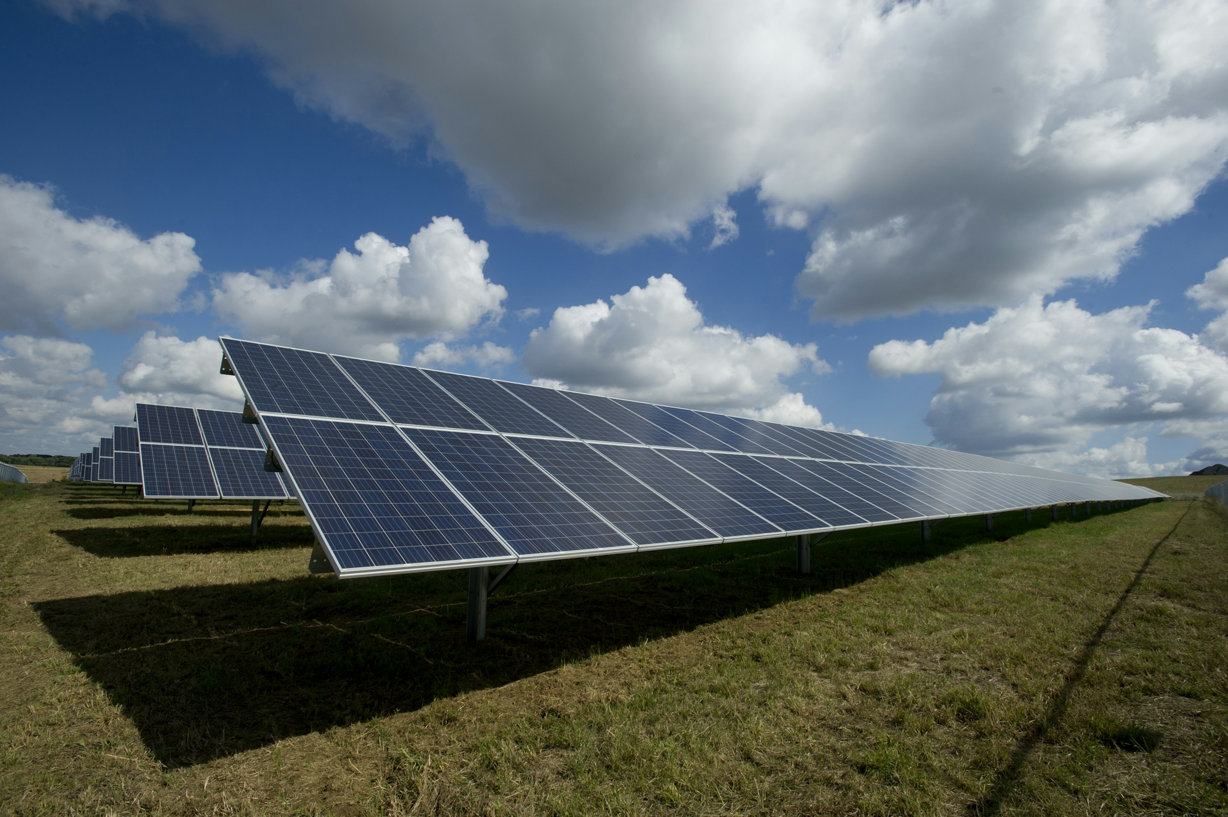 Innovative Carbon Offset App for Sustainability
