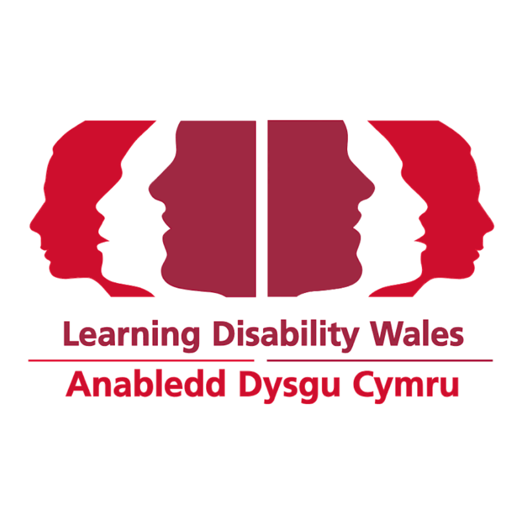 This is the Logo for the Learning Disability Wales item