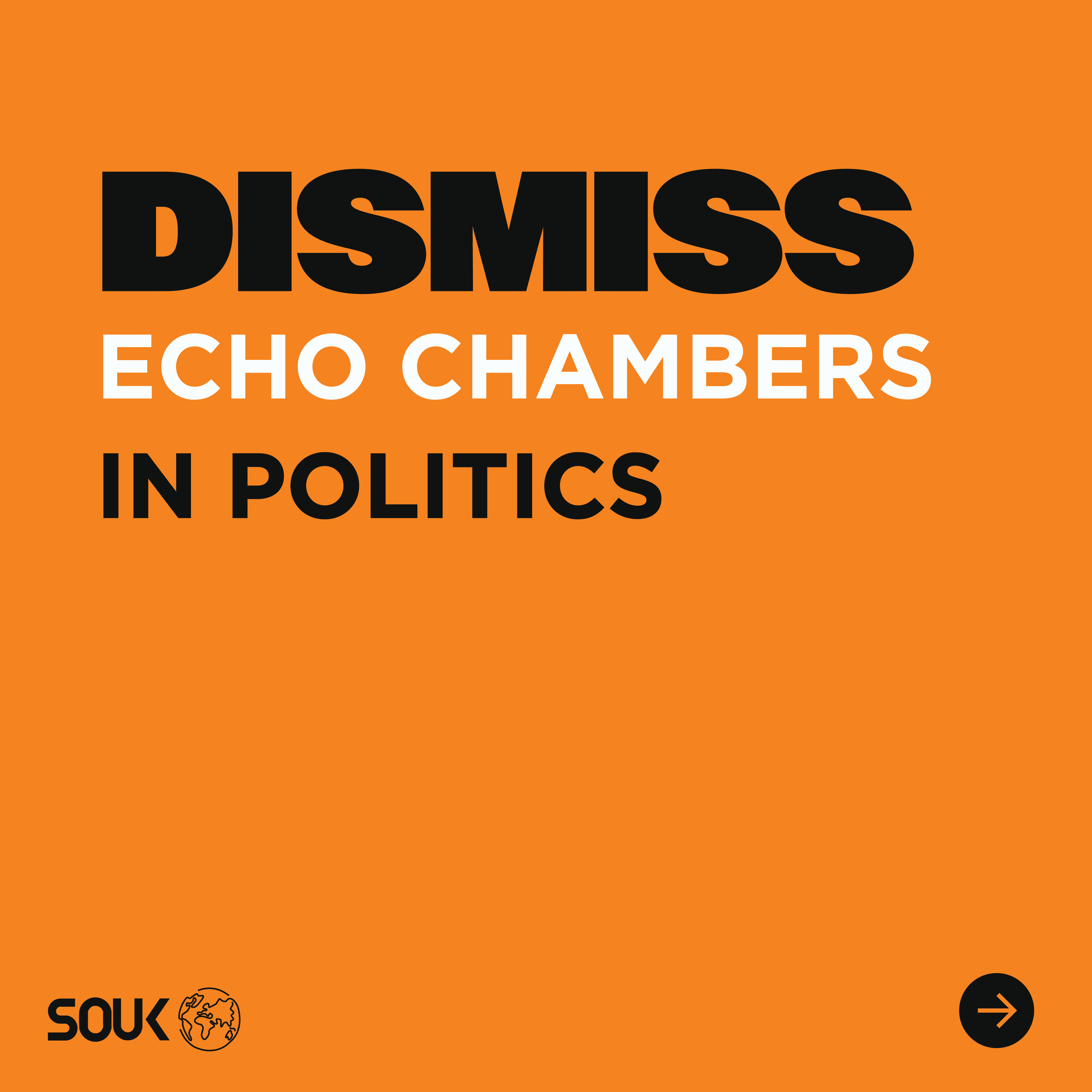 This is the Thumbnail for the Echo chambers in politics item