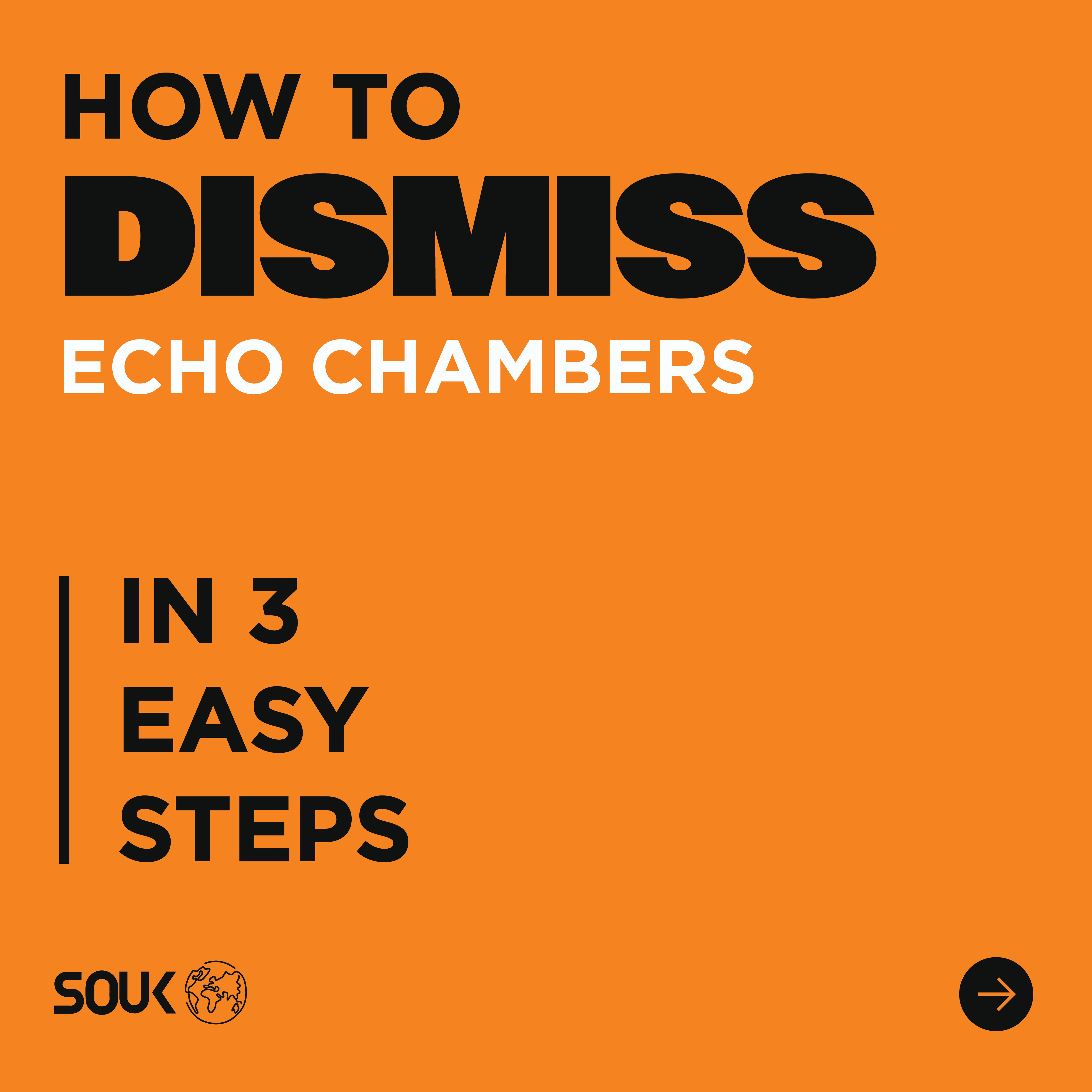 This is the Thumbnail for the Echo chambers how to guide item