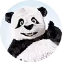 TinyPNG