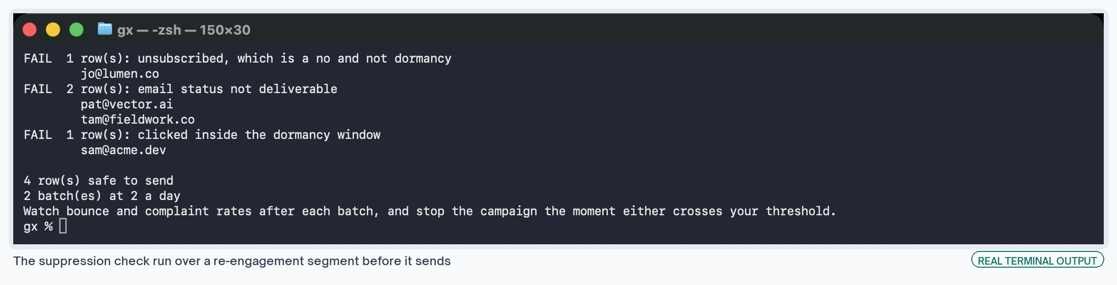 The suppression check rejecting four rows from a re-engagement segment and reporting the batch count.