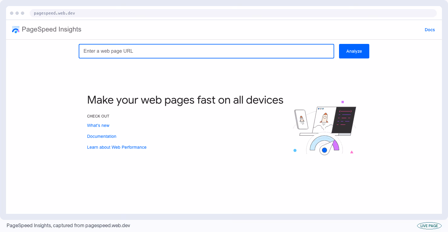 PageSpeed Insights, captured from its own site