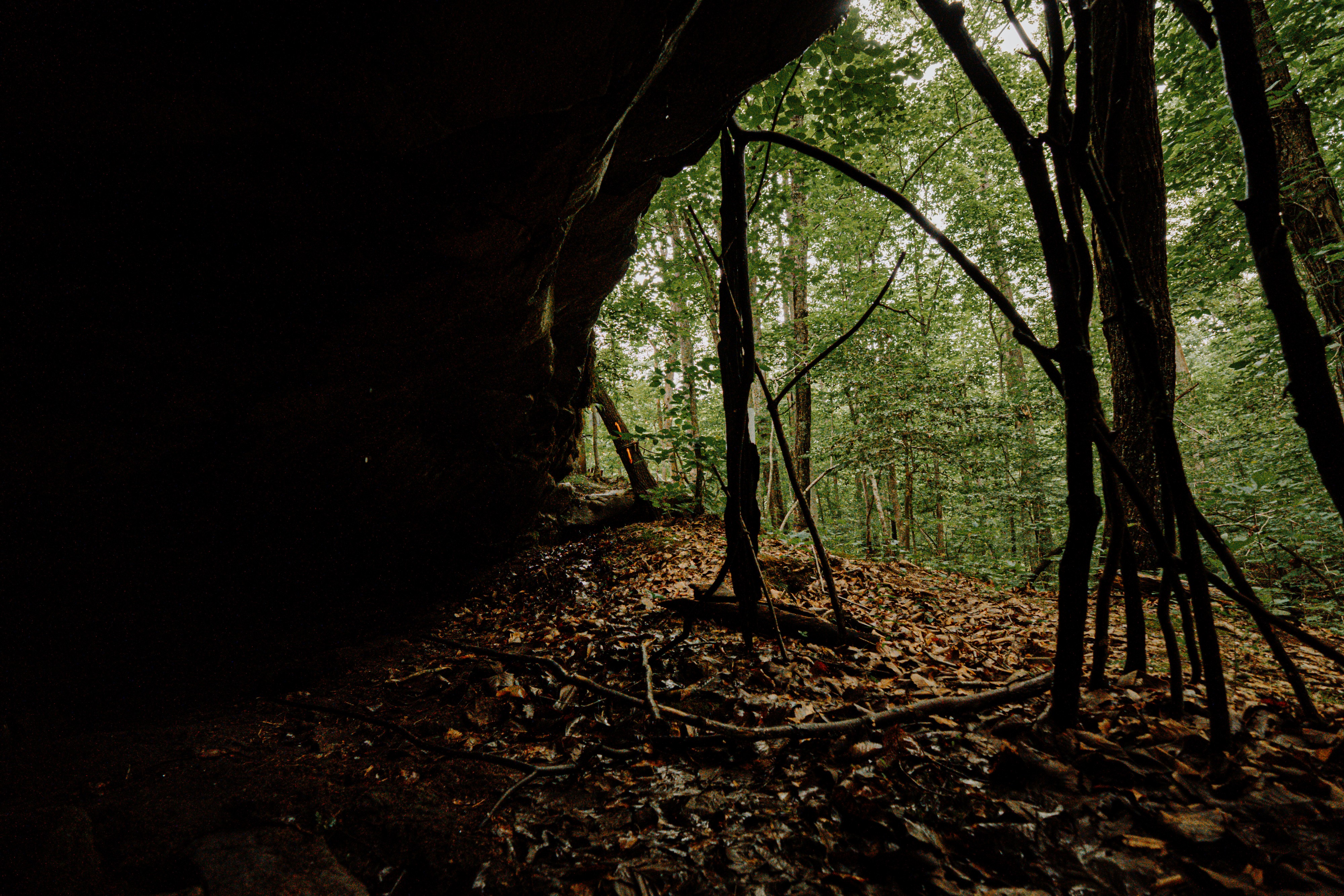 View from inside a shaded rock overhang looking out toward the forest near Sleepy Hollow.