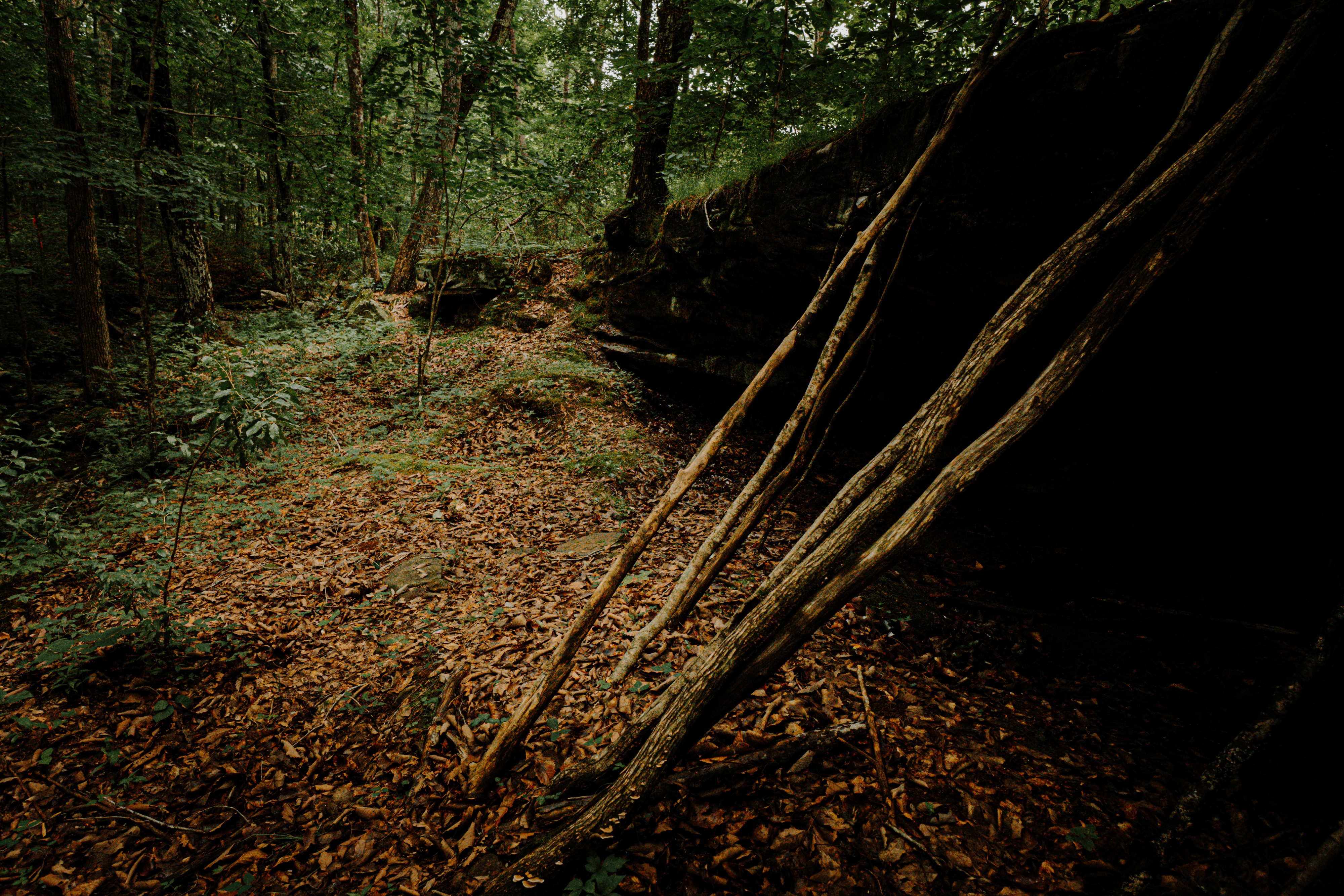 Leaf-covered forest floor beneath a rock bluff overhang on the trail near Sleepy Hollow.