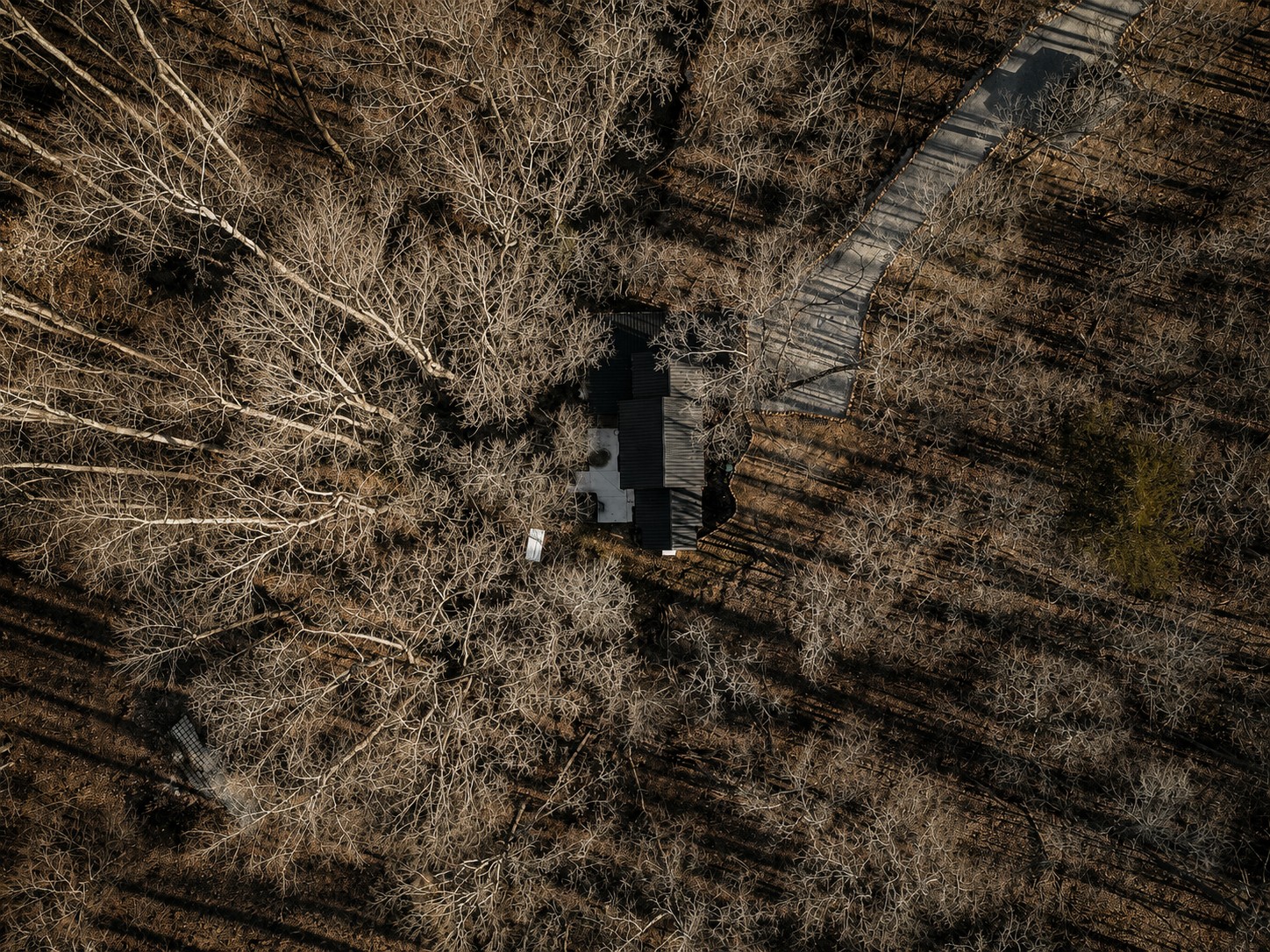 Aerial drone view of the Sleepy Hollow cabin roof surrounded by bare winter trees and a gravel drive.