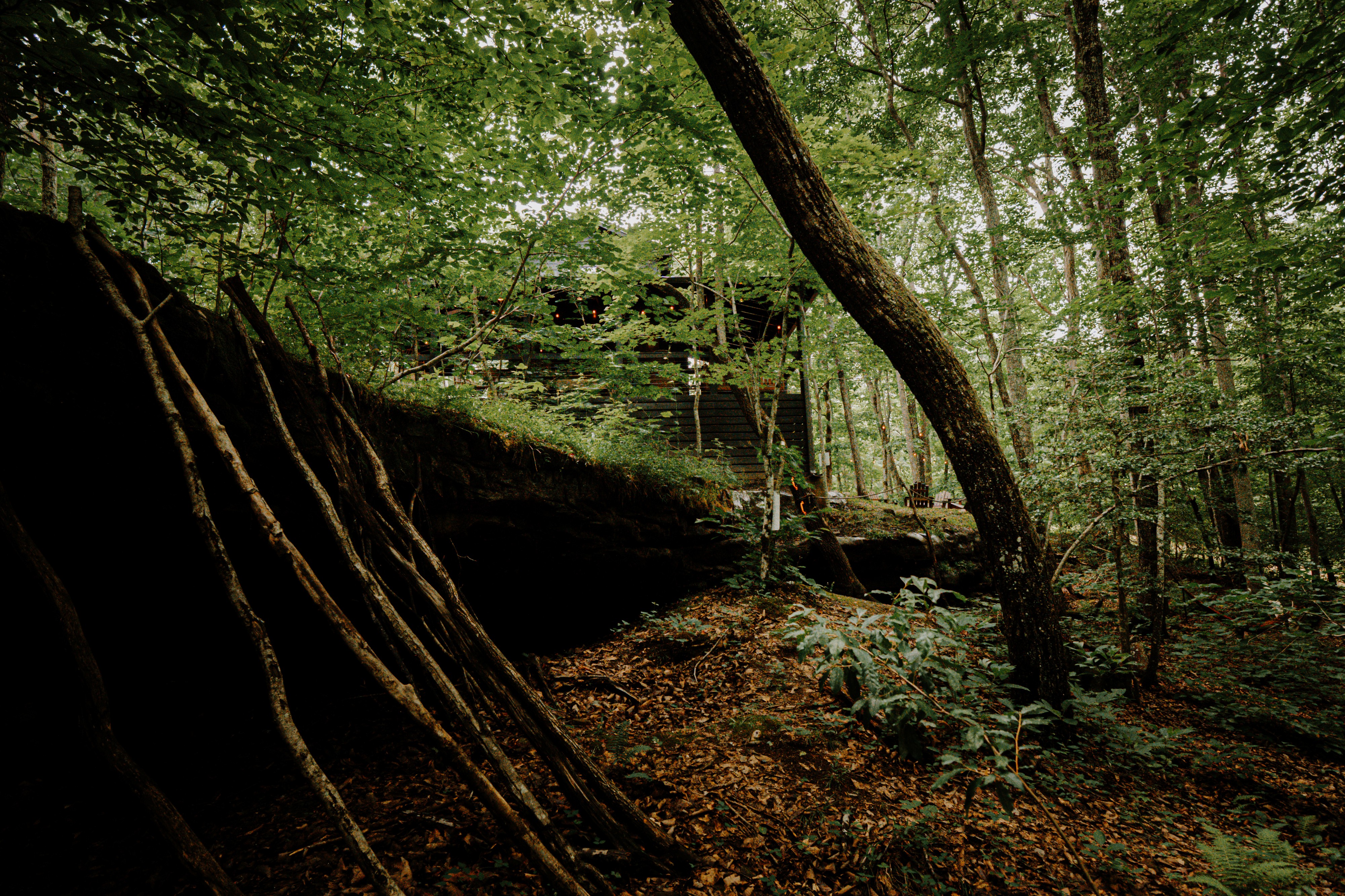 Rock bluff overhang with hanging roots and the Sleepy Hollow cabin deck visible through the trees.