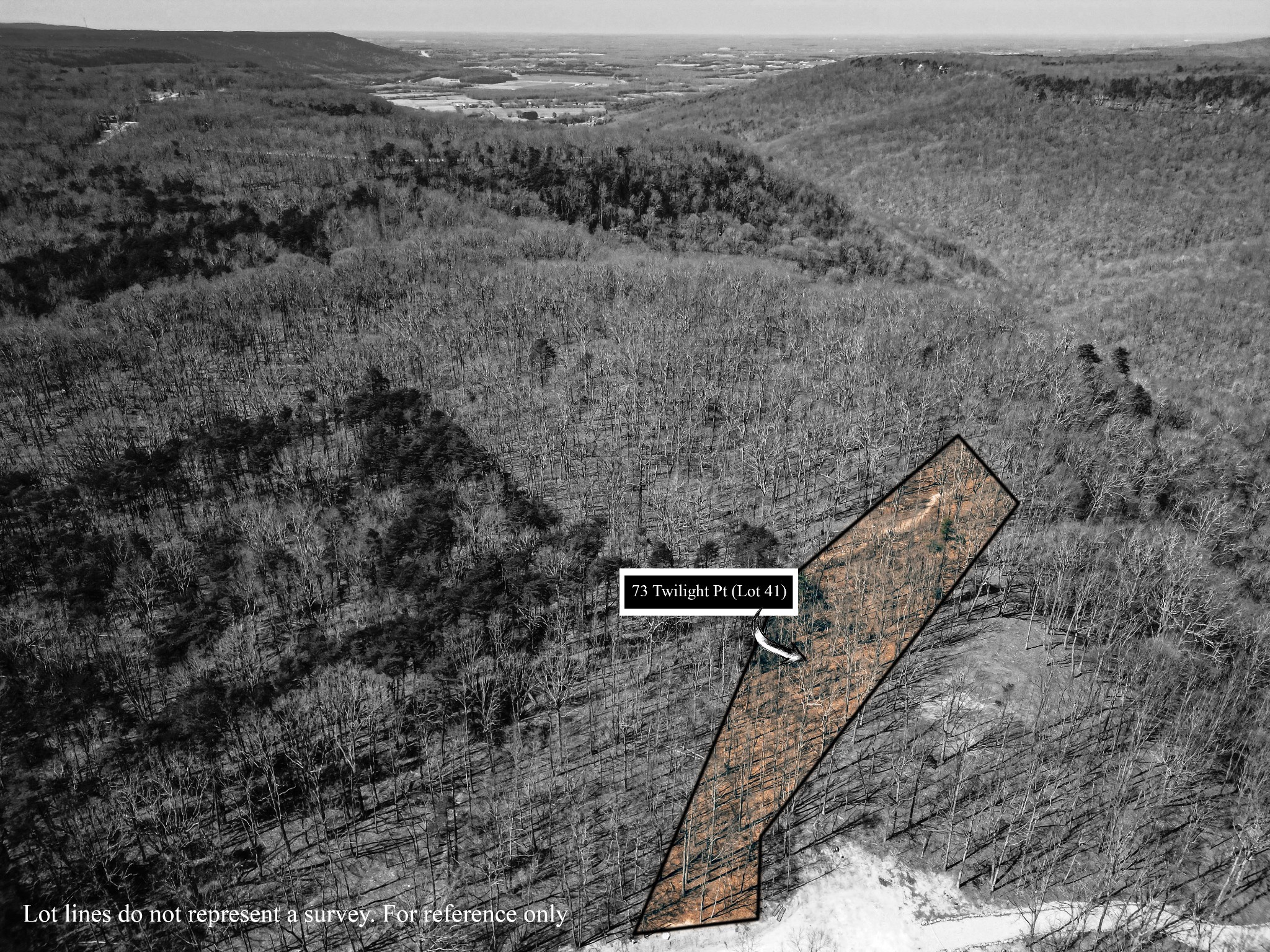 Aerial view of the 73 Twilight Pt (Lot 41) homesite boundary in The Retreat at Sunset Bluff, Monteagle TN. Lot lines are for reference only and do not represent a survey.