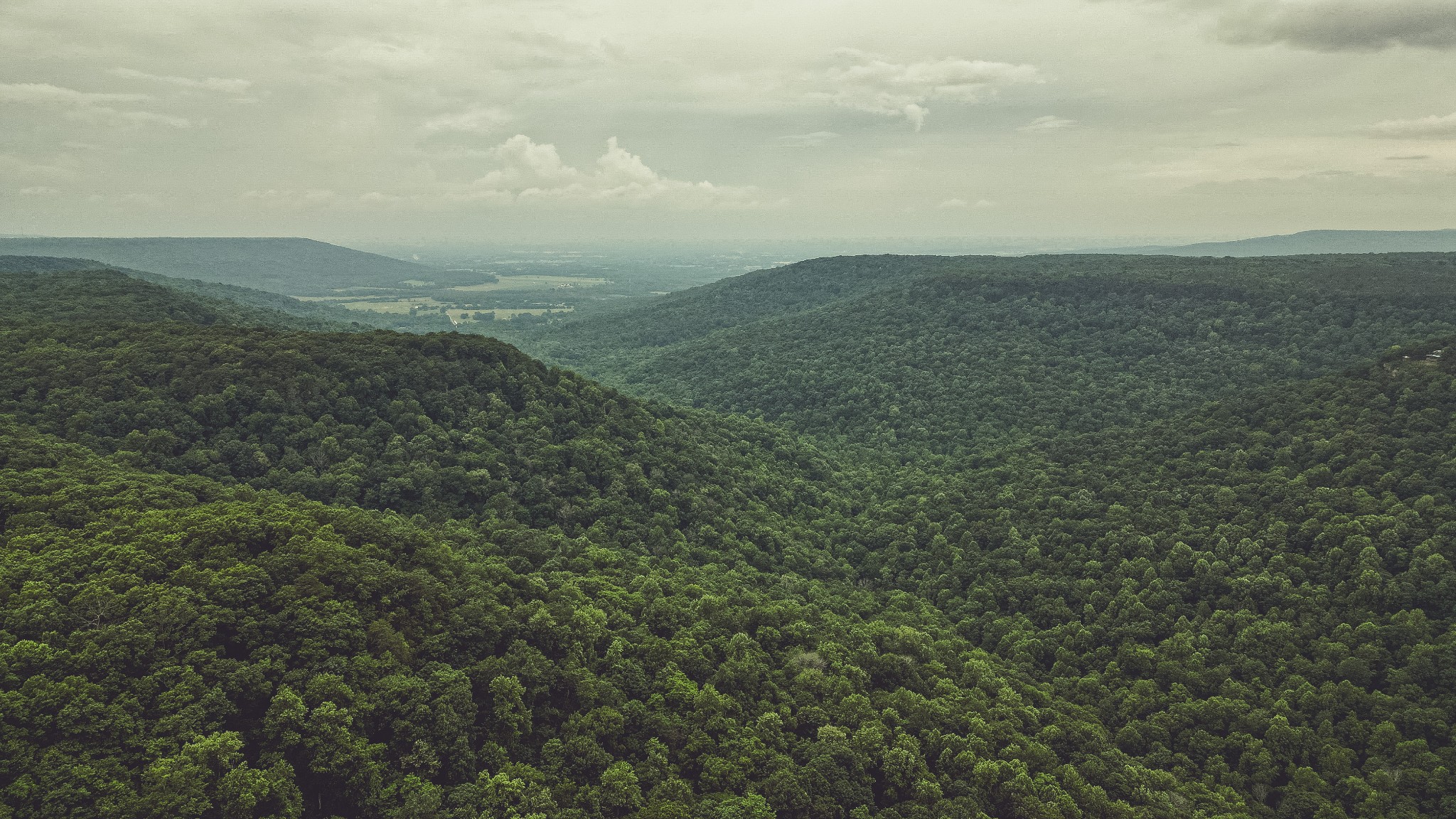 Aerial view of the wooded mountain terrain surrounding The Retreat at Sunset Bluff, Monteagle TN.