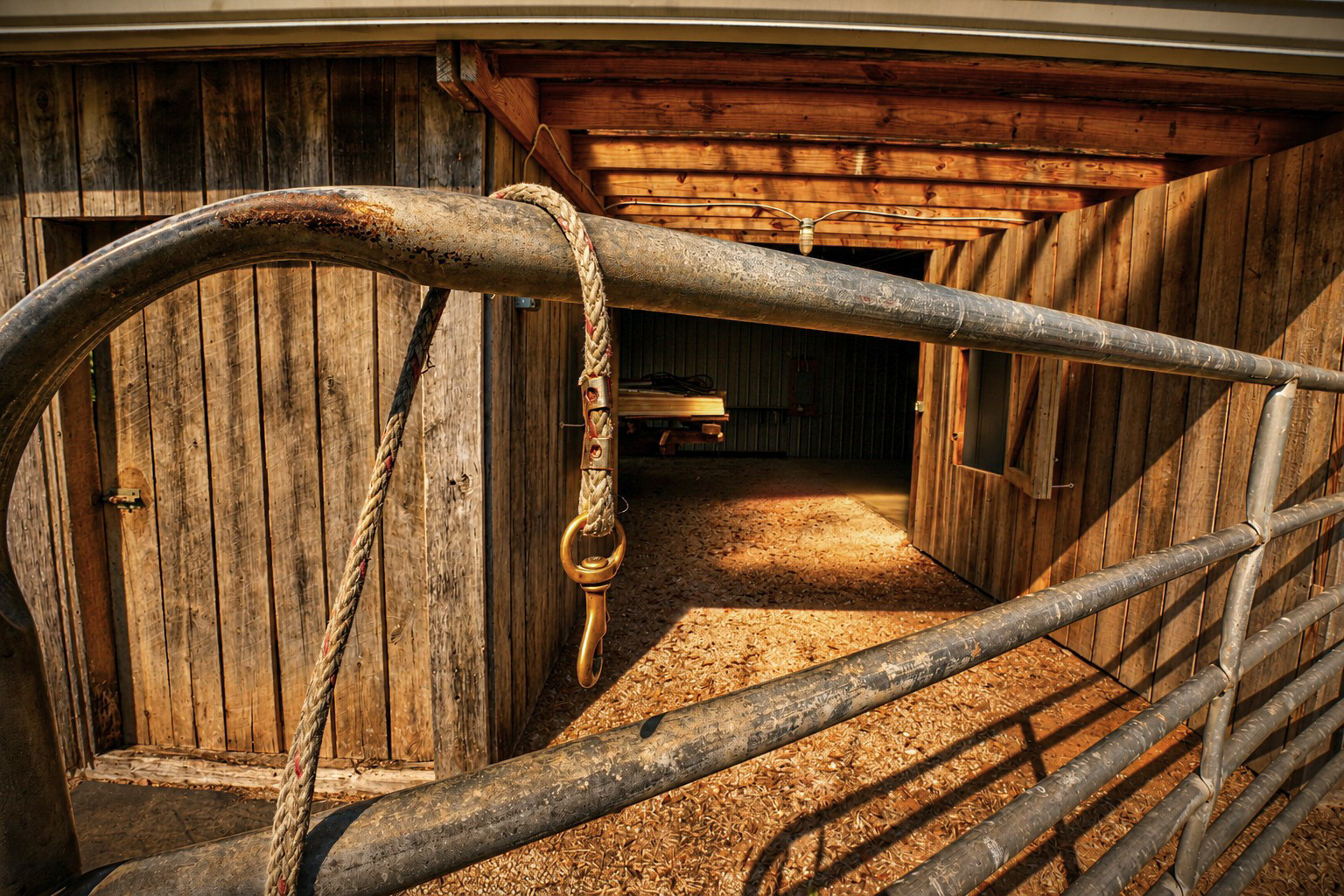 Close-up of a metal corral gate with a lead rope hanging on it, looking into the barn aisle.