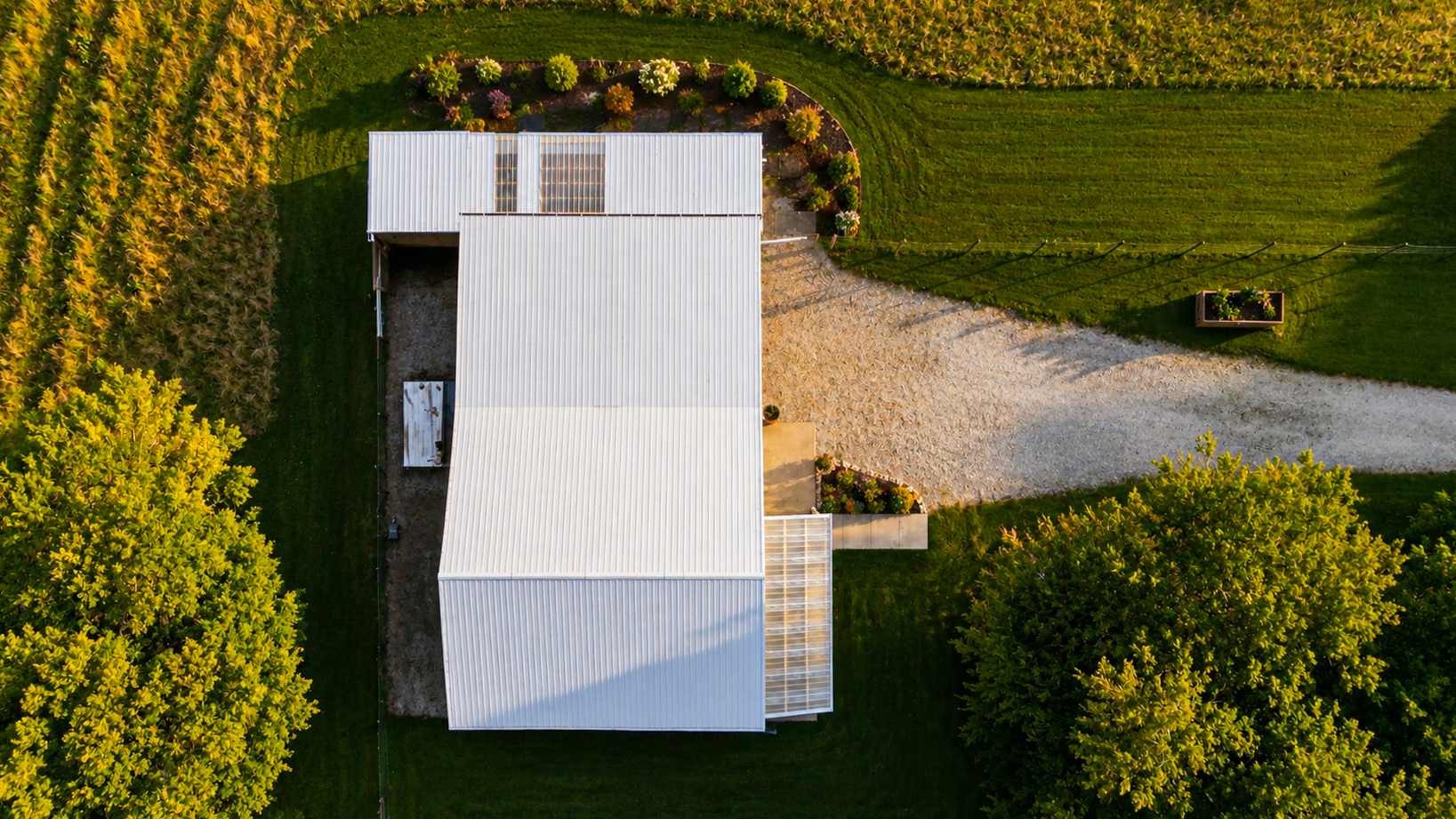 Straight-down aerial view of the white pole barn's roofline, gravel driveway, and landscaped beds bordering a cornfield.