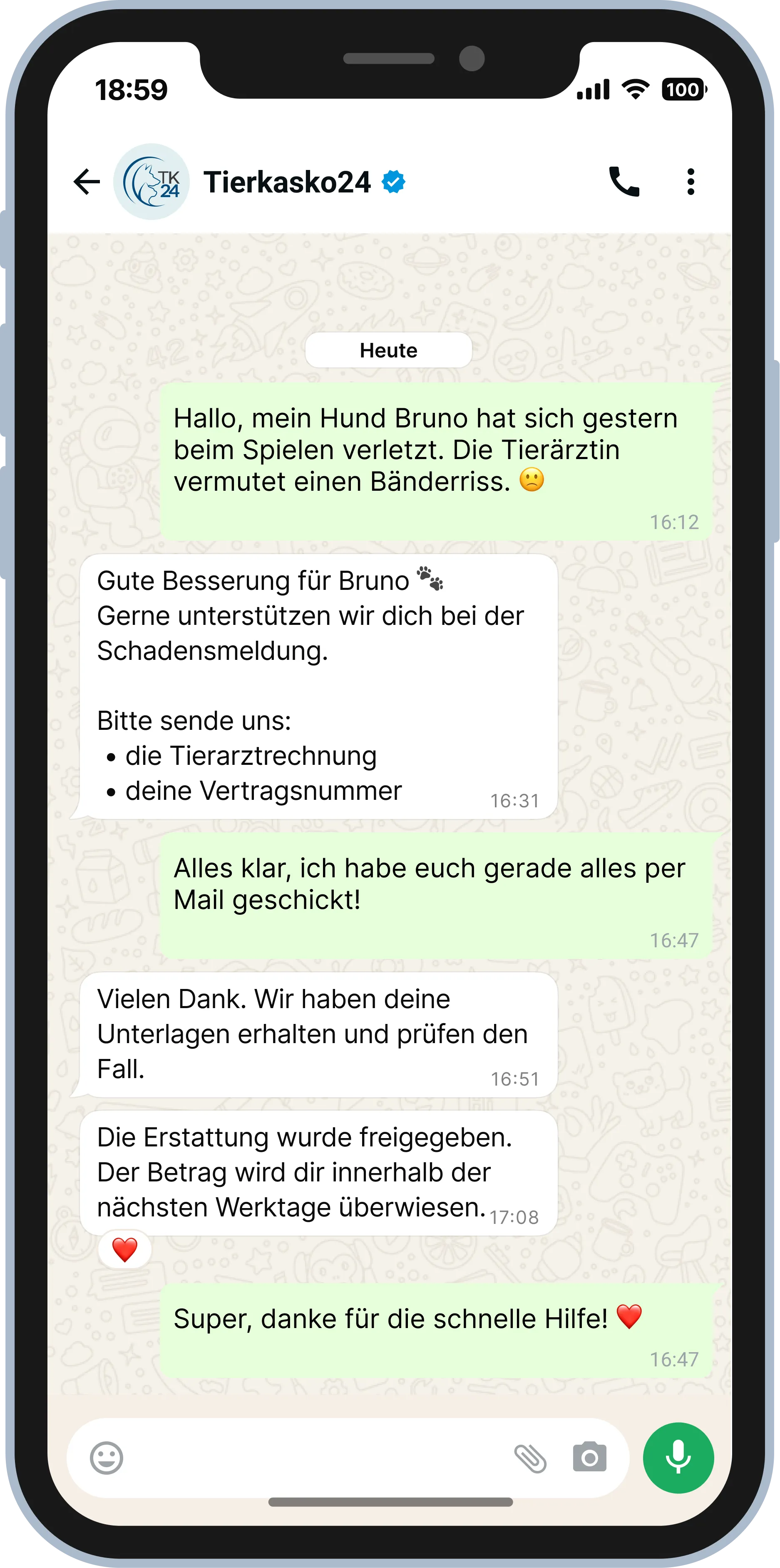 WhatsApp-Chat mit Tierkasko24 über Verletzung eines Hundes und schnelle Schadensregulierung.