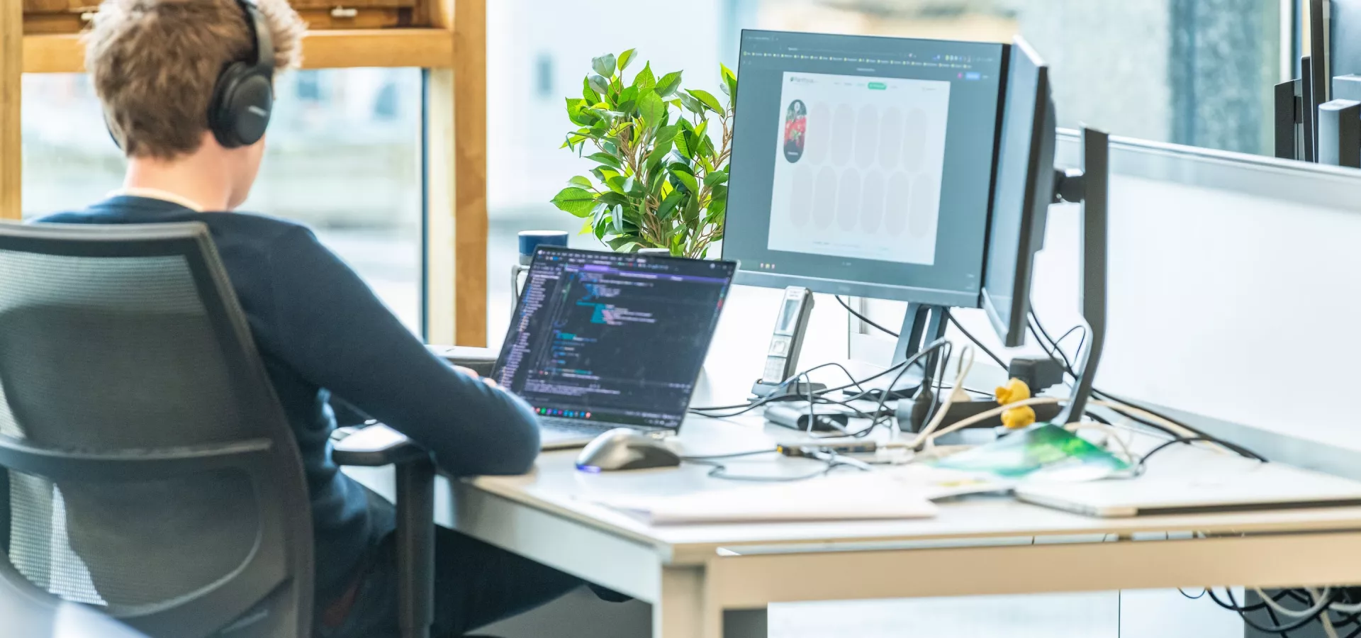 Custom development and integrations