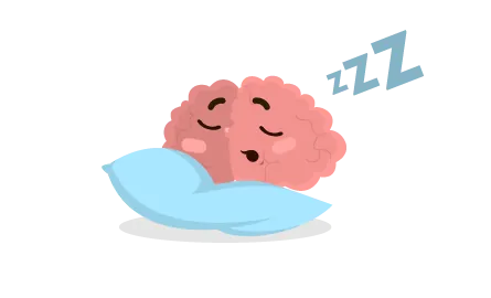 Illustration d'un cerveau qui dort sur un oreiller