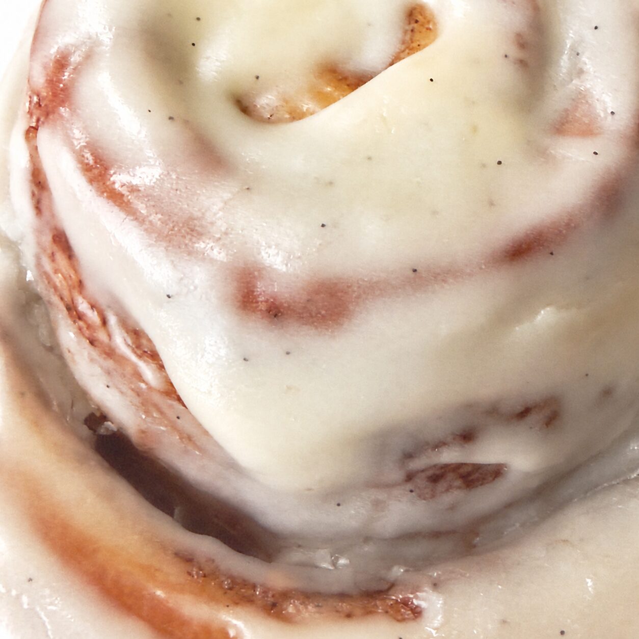 Cinnamon Roll