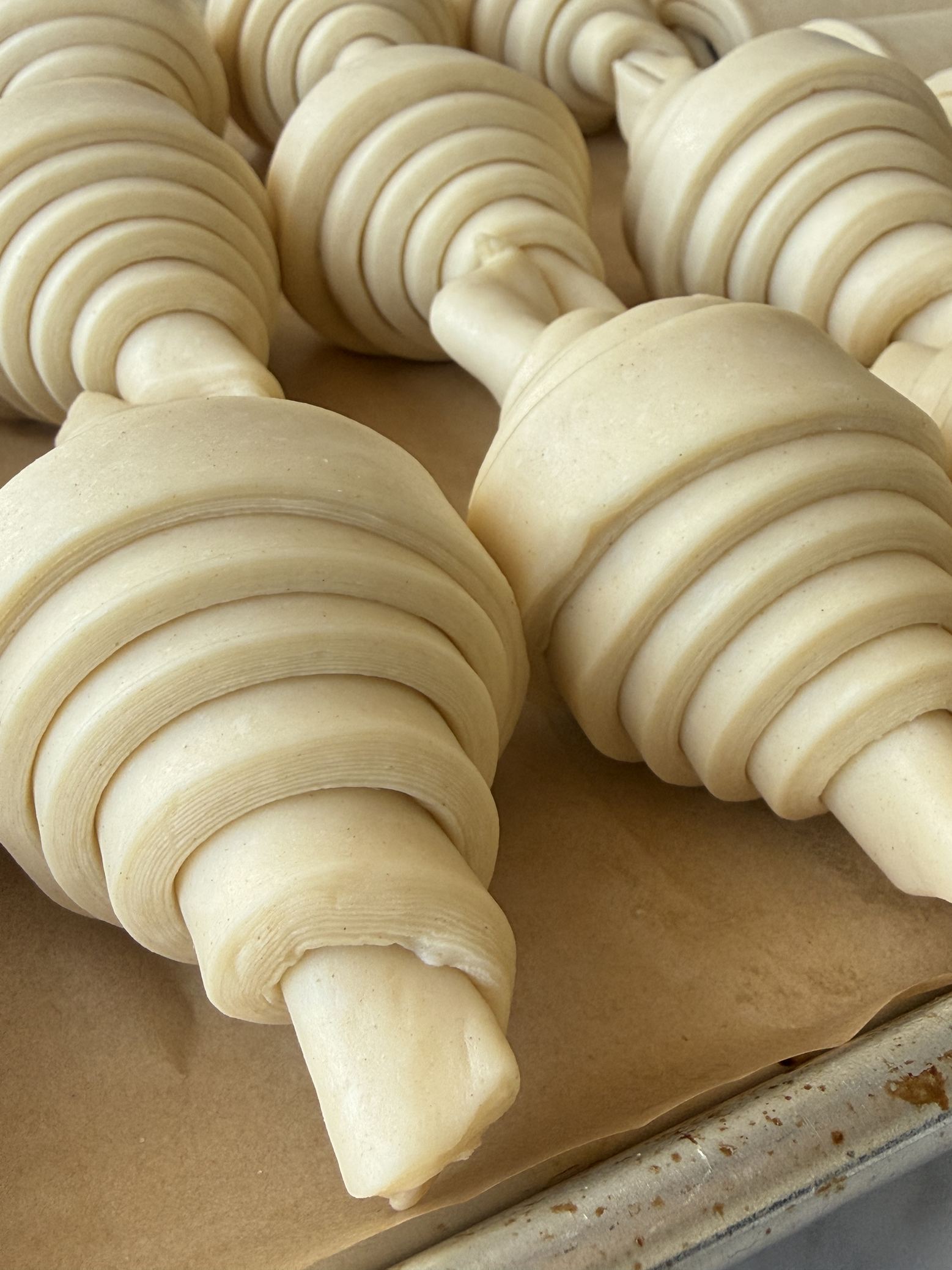 Rows of hand-rolled raw croissants resting on a parchment-lined tray before proofing