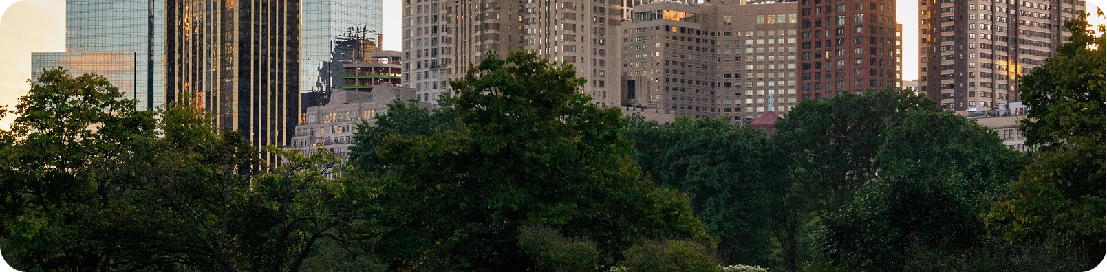Skyline de Estados Unidos