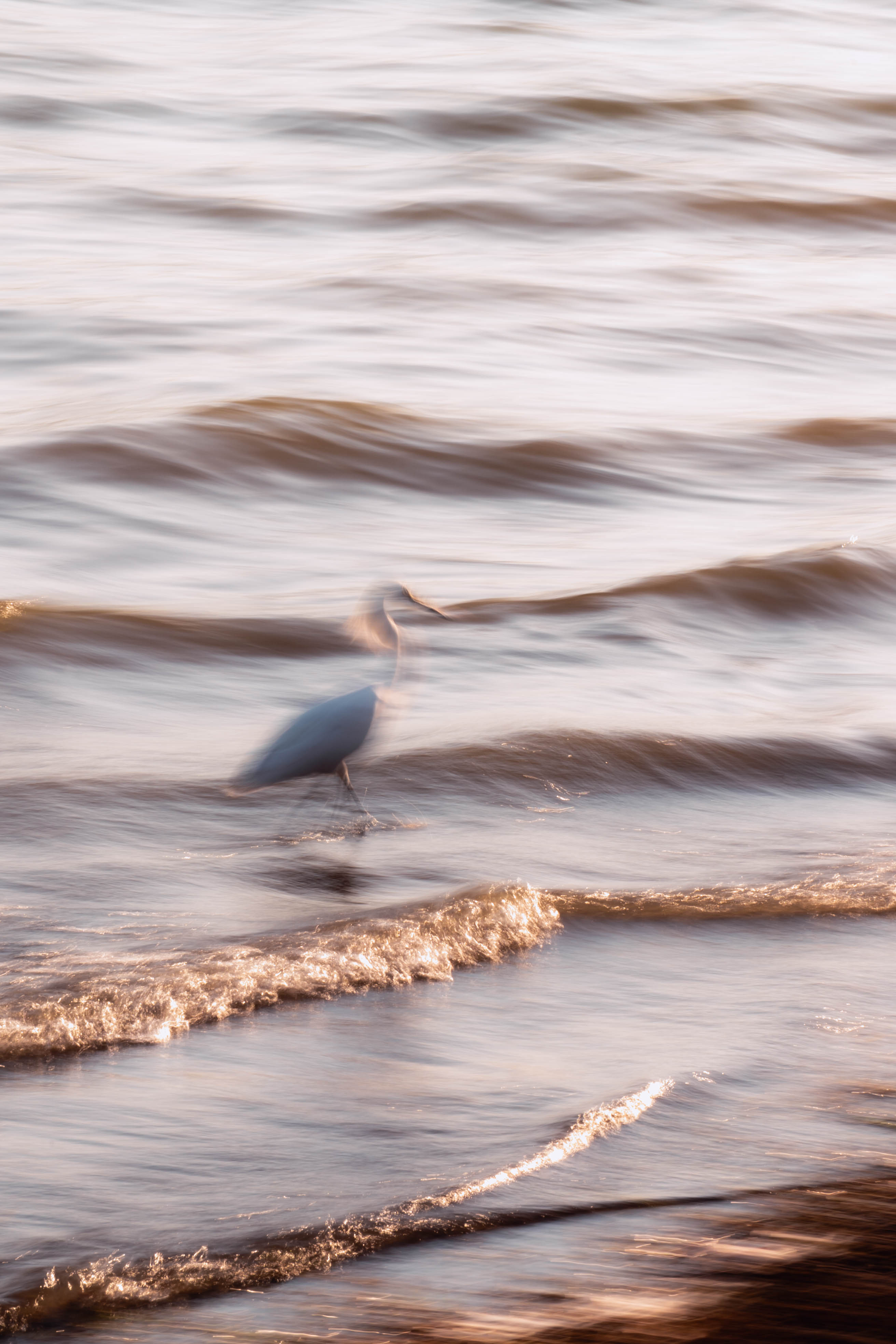 Photography by Alo Creative